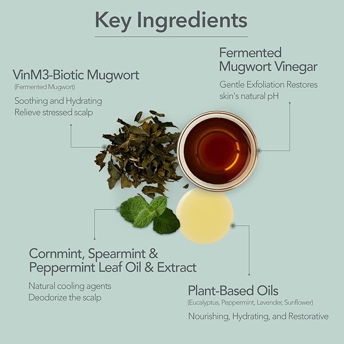 107 SCALP COOLING Breeze Shampoo - Soothing & Refreshing scalp cooling shampoo with 3-Year Aged Fermented Mugwort Vinegar – Scalp Care, Sebum Control (12.84 oz)