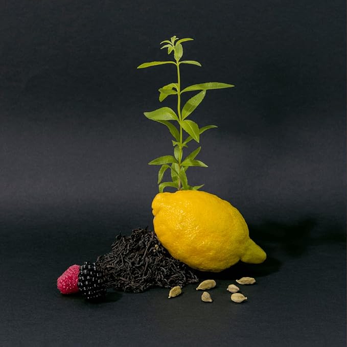 Compagnie de Provence Savon de Marseille Liquid Soap - Black Tea - 10 Fl Oz Glass Pump Bottle