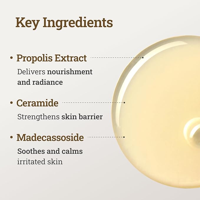 CNP Honey Glow Booster Toner (5.07 fl. oz) - Hydrating Honey Ceramide Toner with Propolis Extract & Hyaluronic Acid, Soothing, Nourishing, for Glass Skin, Gifts for Women, Korean Skin Care