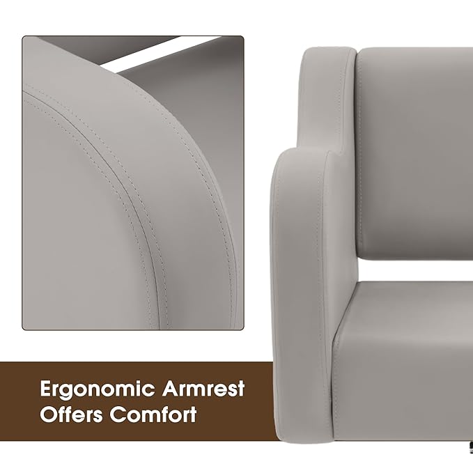 BarberPub Classic Salon Chair for Hair Stylist,Hydraulic Barber Styling Chair,Beauty Salon Spa Equipment 3802 (Grey)