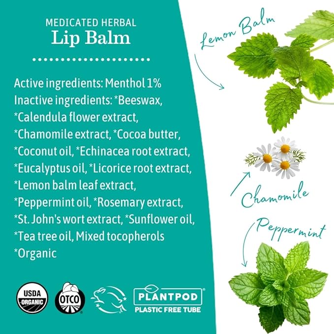 Earth Mama Medicated Lip Balm Set | Medicated Herbal Mint 4-Pack | Organic Lip Balm with Menthol for Fever Blister & Cold Sore