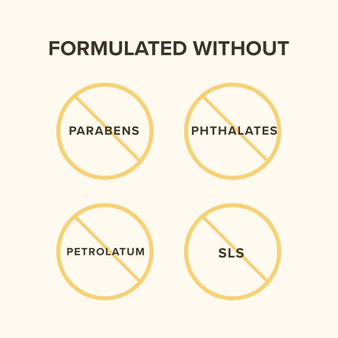 Burt's Bees Lip Balm Stocking Stuffers, Moisturizing Lip Care Christmas Gifts, for Dry Chapped Lips, Medicated with Menthol & Eucalyptus, Natural Origin Lip Care (4-Pack)