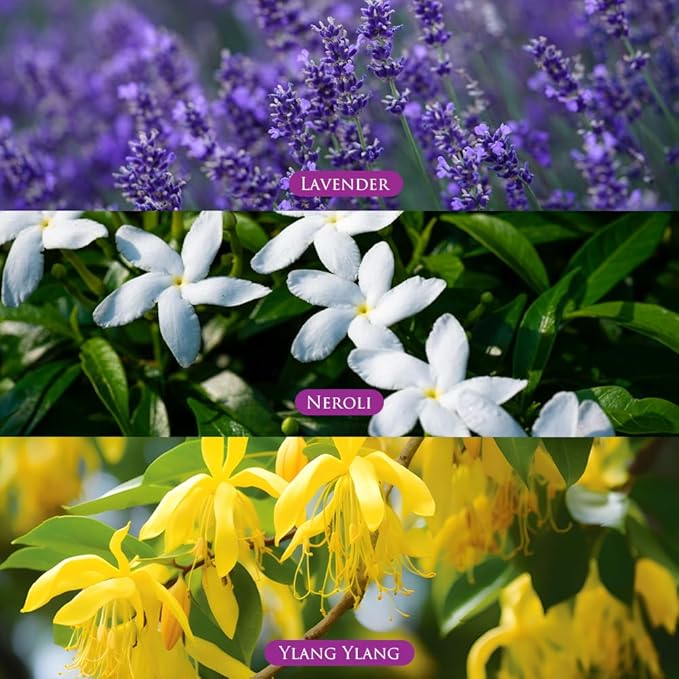 SPA CEYLON LAVENDER NEROLI YLANG Intensive Hand Cream | Travel Size Moisturising Hand Cream | Vegan | 30g