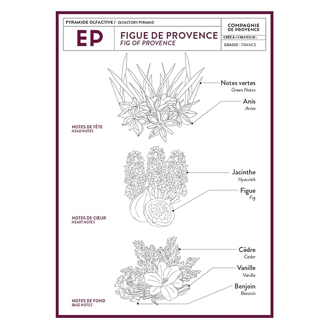Compagnie de Provence Savon de Marseille Extra Pure Liquid Soap - Fig of Provence - 16.7 Fl Oz Glass Pump Bottle and 33.8 Fl Oz Plastic Bottle Refill