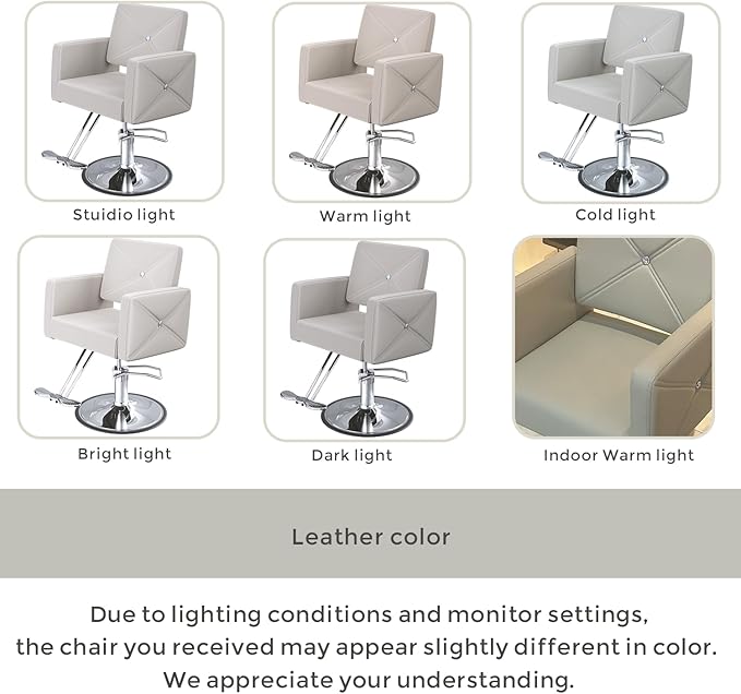 Barber Salon Chair for Hair Stylist with 350Lbs Heavy-Duty Hydraulic Pump, 360° Swivel Hair Styling Chair, Adjustable Height Hairdresser Braider Chairs for Beauty Salon, Tattoo, Spa, Light Gray