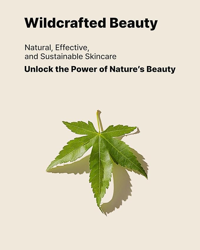 MAY COOP Moisture Essence Toner – Korean Hydrating & Nourishing Skincare for Dry Sensitive Skin with Wildcrafted Centella Asiatica, Rice Water & Birch Bark – Fast-Absorbing Texture – 5.07 fl. oz.