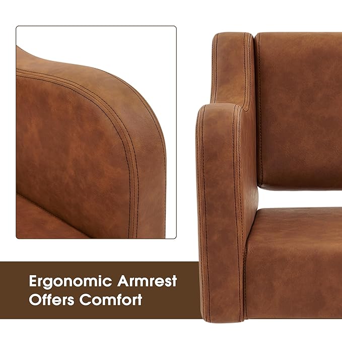 BarberPub Classic Salon Chair for Hair Stylist,Hydraulic Barber Styling Chair,Beauty Salon Spa Equipment 3802 (Brown)