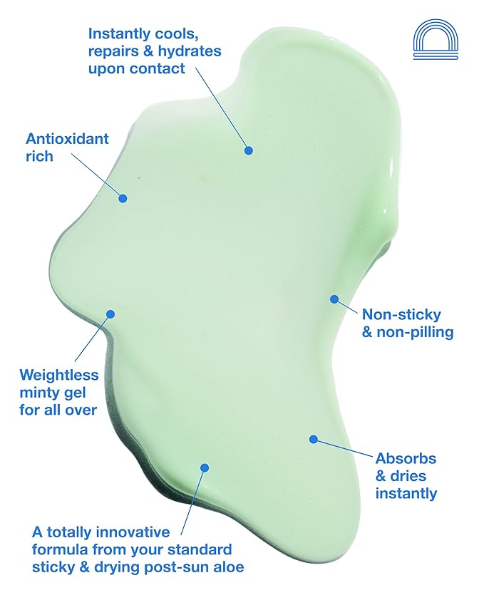 The Lifeguard Aloe Vera Sunburn Gel – After Sun Protection for Sunburn Relief with Minty Cooling – Fast-Absorbing Formula for Sun-Exposed Skin – Vegan, Non-Sticky, Hydrating Formula (5.5 Fl Oz)