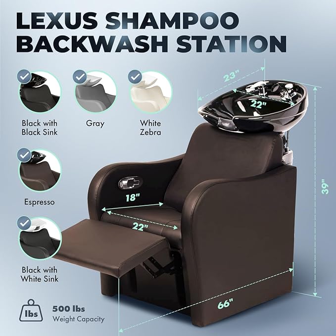 Buy-Rite Lexus Backwash Unit – Espresso Salon Shampoo Chair with Tilting Porcelain Bowl, Extra Wide Seat, Kick-Out Leg Rest, European-Style Faucet, Model TS-8018B
