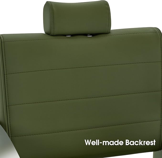 BarberPub Barber Chair for Barbershop,Reclining Salon Chair for Hair Stylist 9180 (Green)