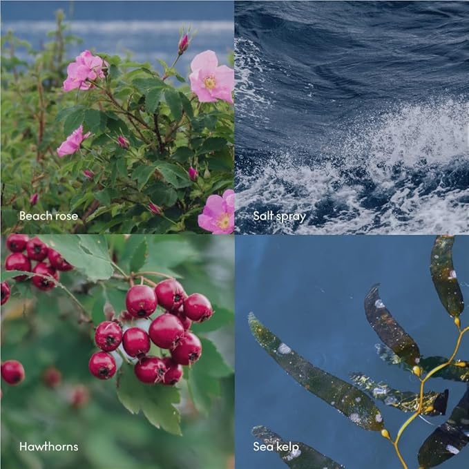 Skandinavisk Wash HAV ‘Sea’ Scent notes: Salt spray and sea kelp, hawthorn and beach rose, 16.91 fl. oz.