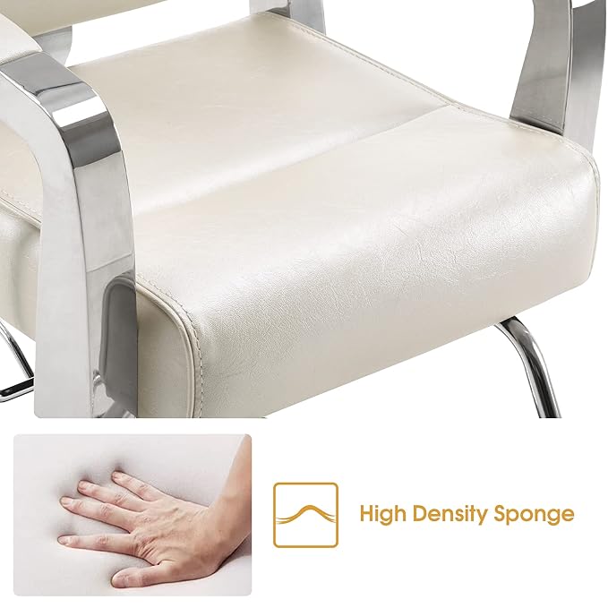 BarberPub Barber Chair Reclining Salon Chair for Hair Stylist, Antique Hair Spa Salon Styling Beauty Equipment 3127(White)