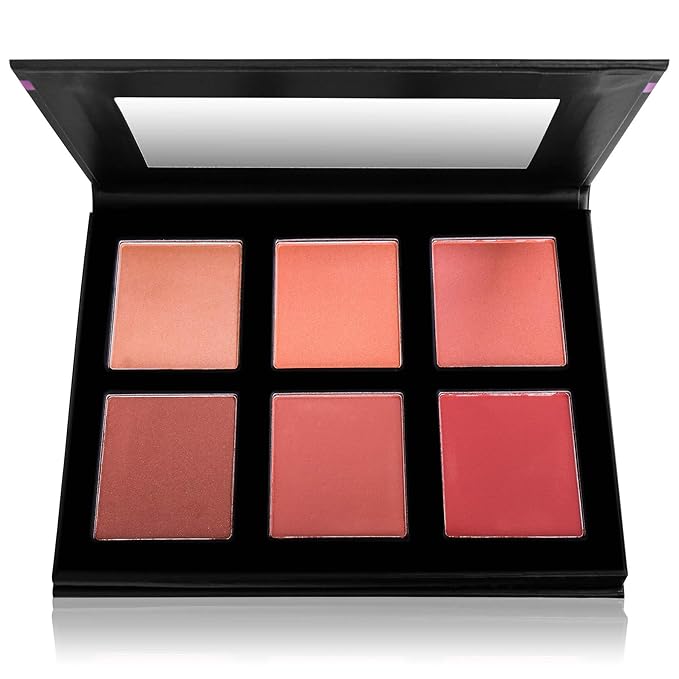 SHANY Shimmer & Matte Powder Blush Makeup Palette