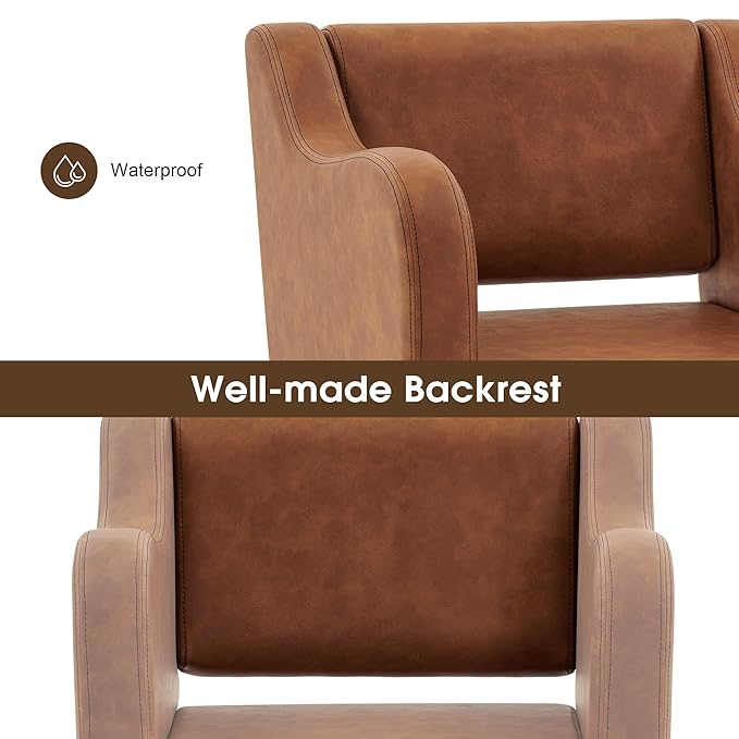 BarberPub Classic Salon Chair for Hair Stylist,Hydraulic Barber Styling Chair,Beauty Salon Spa Equipment 3802 (Brown)