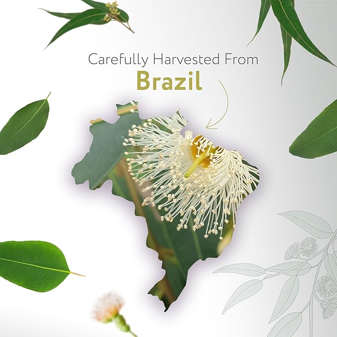 HBNO Lemon Eucalyptus Essential Oil - 4 oz (120ml) - Natural - Perfect for Cleaning, Aromatherapy, DIY, Soap & Diffuser