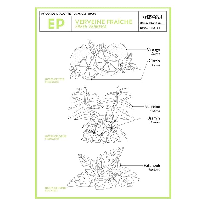 Compagnie de Provence Savon de Marseille Extra Pure Liquid Soap - Fresh Verbena - 16.7 Fl Oz Glass Pump Bottle and 33.8 fl oz Plastic Bottle Refill