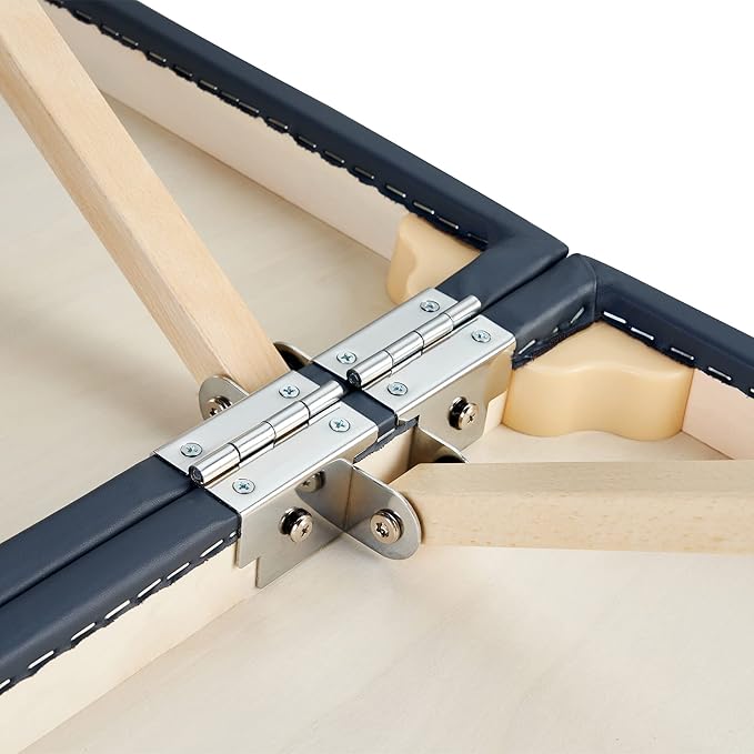 Master Massage Coronado Portable Massage Table Pro Package- Adjustable Height, Working Capacity of 750 lbs. and 3-Inch Foam Cushioning- Tattoo Bed, Lash Table- Royal Blue