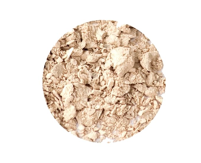 Gabriel Cosmetics Eyeshadow (Bone - Ivory/Neutral Matte), 0.07 oz, Natural, Paraben Free, Vegan,Gluten free,Cruelty free,No GMO,Velvety and Smooth matte finish, with Sea Fennel,for all skin types