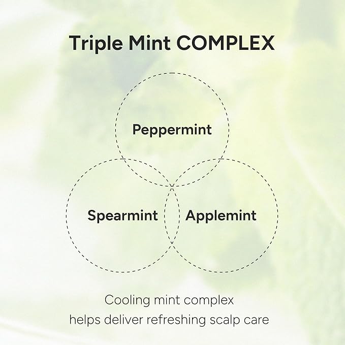 Purifying Hair & Dry Scalp Treatment Mist – Korean Hair Care with Triple Mint Complex for Oil Control, Soothing & Leave-In Conditioner – Paraben, Silicone & Sulfate Free – Green Breeze, 3.38 fl oz