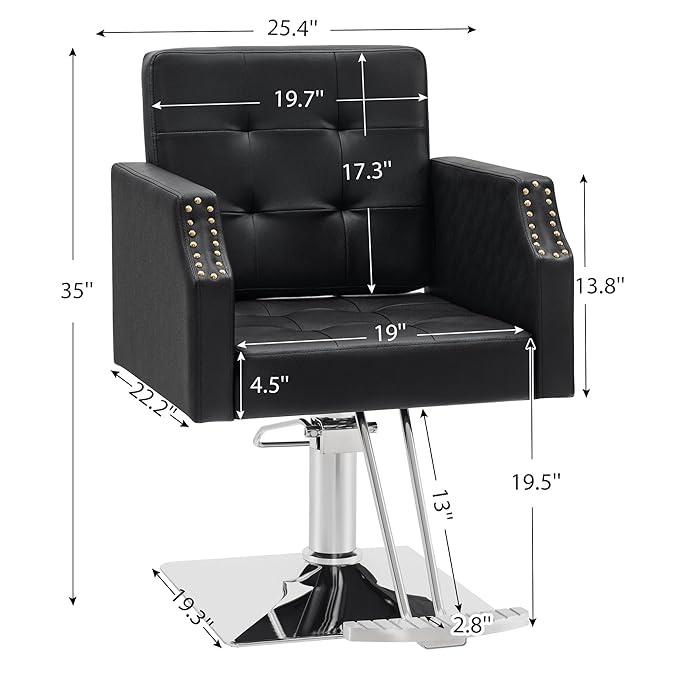 BarberPub Classic Salon Chair for Hair Stylist,Hydraulic Barber Styling Chair,Beauty Salon Spa Equipment 8818 (Black)