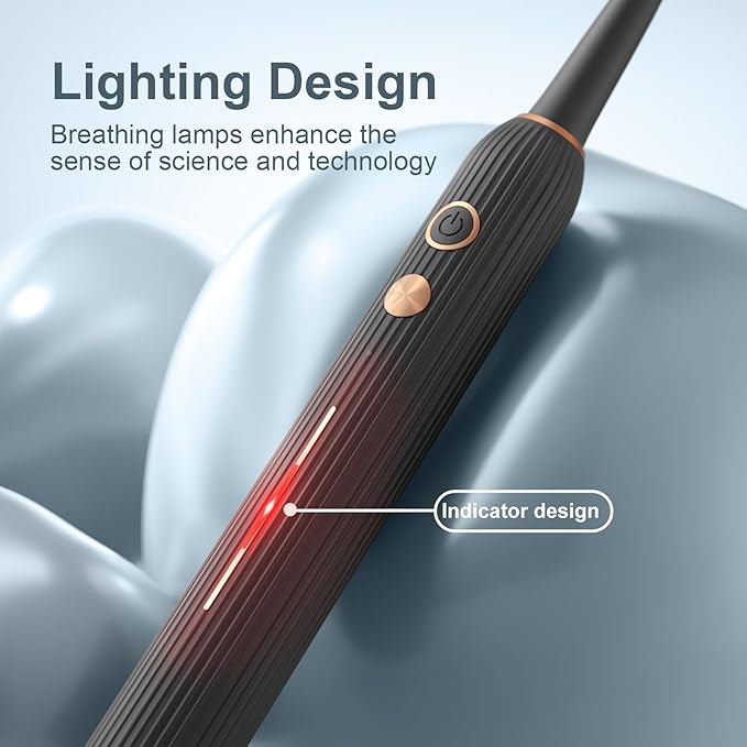 Sonic Electric Toothbrush for Adults with Drying Storage Holder, 8 Brush Heads, Smart Timer, USB Rechargeable, Deep Clean Power – Classic Black Edition