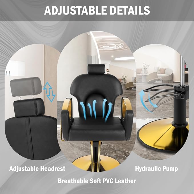 Salon Chair Reclining Barber Hair Chair for Hair Stylist with Heavy Duty Hydraulic Pump, 360 Swivel Styling Beauty Spa Tattoo Equipment for Home Barbershop, Black Gold