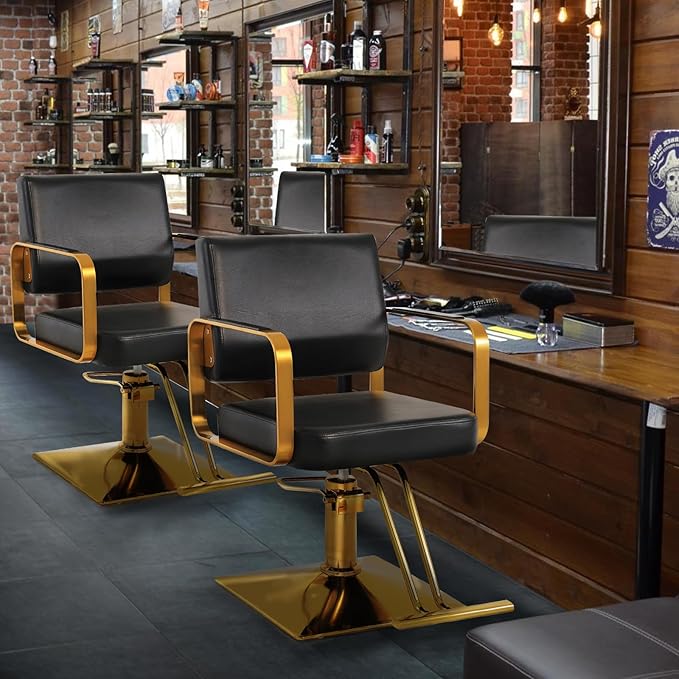 Salon Chairs for Hair Stylist Chair Hydraulic Pump Hair Salon Chair 360 Degree Rotating Barber Chair, Spa Beauty Equipment for Hair Stylists, Tattoo Artists, Cosmetologists (Not Tilting)