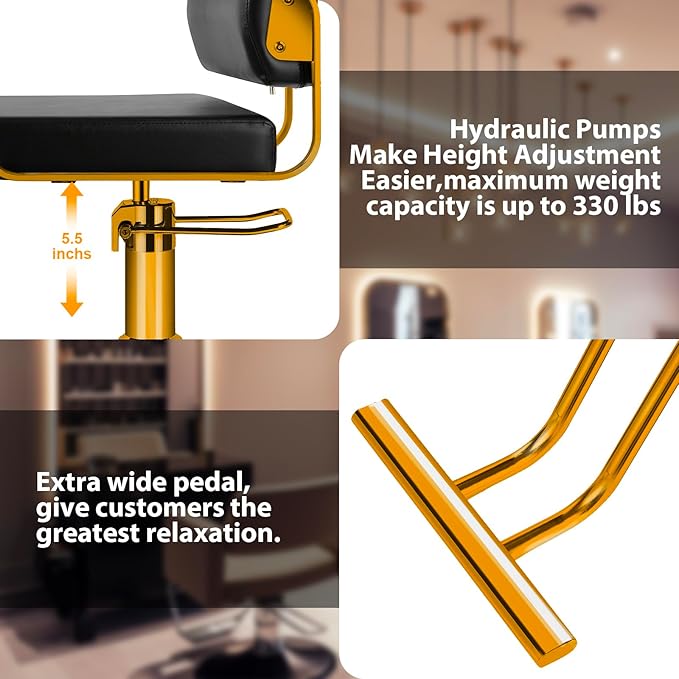 Salon Chairs for Hair Stylist Chair Hydraulic Pump Hair Salon Chair 360 Degree Rotating Barber Chair, Spa Beauty Equipment for Hair Stylists, Tattoo Artists, Cosmetologists (Not Tilting)