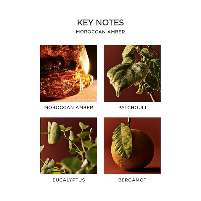 NEST New York Liquid Soap, Moroccan Amber - 10 fl oz - Cleanses & Nourishes Skin - Approx. 300 Pumps Per Bottle - Gluten Free & Cruelty Free