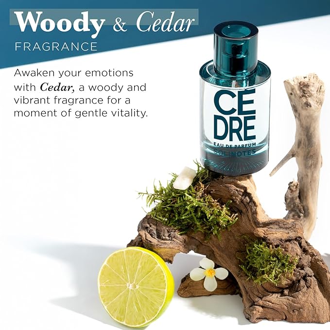 SOLINOTES Cedarwood Perfume for Men - Eau De Parfum | Refined Woody and Soothing Fragrance - Made in France - Vegan - 1.7 fl.oz