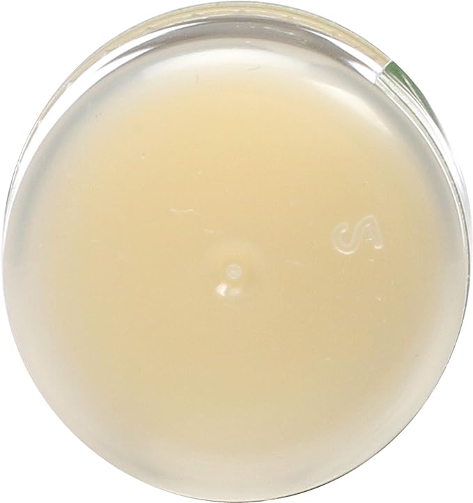 Eco Lips Organic Mongo Kiss Peppermint Organic,