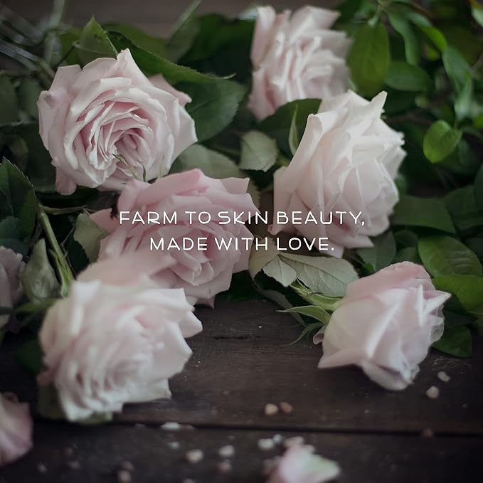 Farmstead Apothecary 100% Natural Anti-Aging Rose Water Face Cream 4 oz