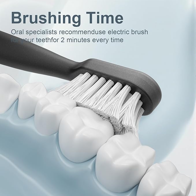 Sonic Electric Toothbrush for Adults with Drying Storage Holder, 8 Brush Heads, Smart Timer, USB Rechargeable, Deep Clean Power – Classic Black Edition