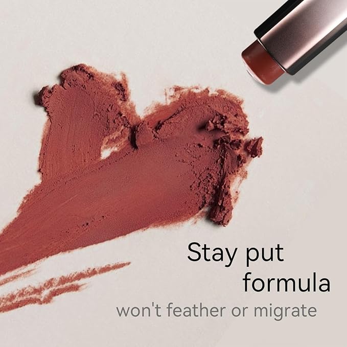 Matte Lipstick for Women, Long Lasting Moisturizing Lip Stain, Waterproof Lip Color Makeup (Salmon Pink)