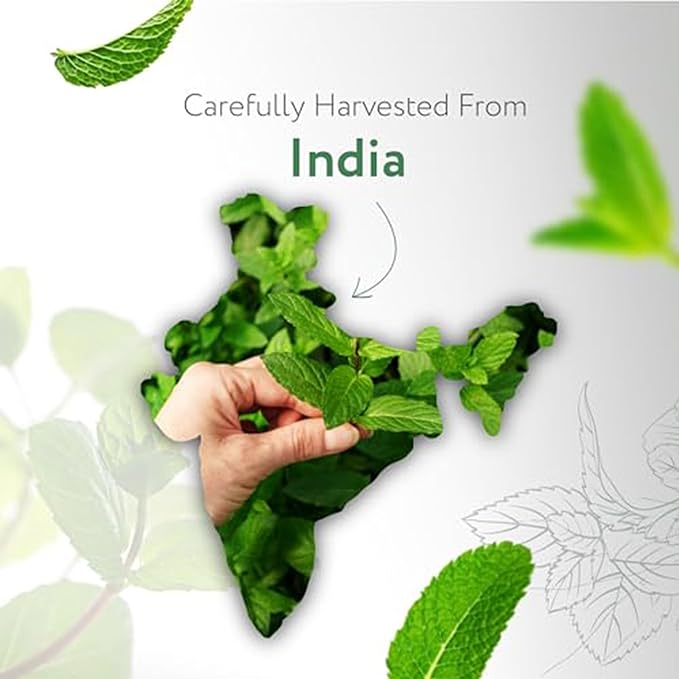 HBNO Spearmint Essential Oil - Huge 4 oz (120ml) Value Size - Natural Spearmint Oil - Perfect for Cleaning, Aromatherapy, DIY, Soap & Diffuser -