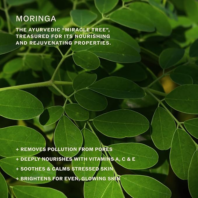 Sahajan Essential Cleansing Oil with Vitamin C + Squalane | Ayurvedic Gentle Clean Facial Cleansing Oil | All Skin Types, Sensitive Eyes | Remove Waterproof Makeup, SPF, Pollution | 4 oz