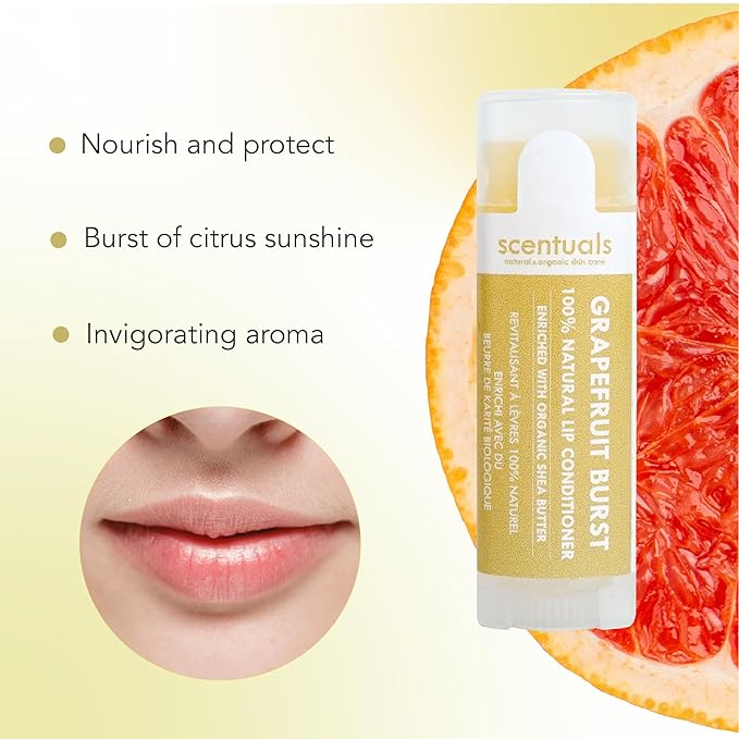 Lip Balm Set of 3, Made Natural