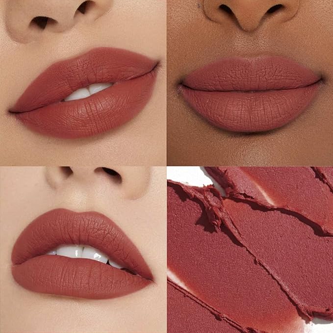 Matte Lipstick for Women, Long Lasting Moisturizing Lip Stain, Waterproof Lip Color Makeup (Salmon Pink)