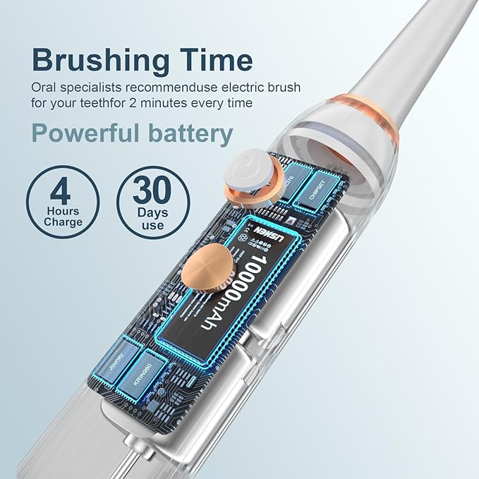 Electric Toothbrush Set with Drying & Sanitizing Holder, 8 Replacement Brush Heads, Transparent Rinse Cup, Smart Timer, USB Rechargeable for Adults
