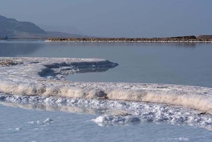 H&B Exfoliating Body Scrub Soft Scrub Body Scrubs Dead Sea Minerals (Lavender)