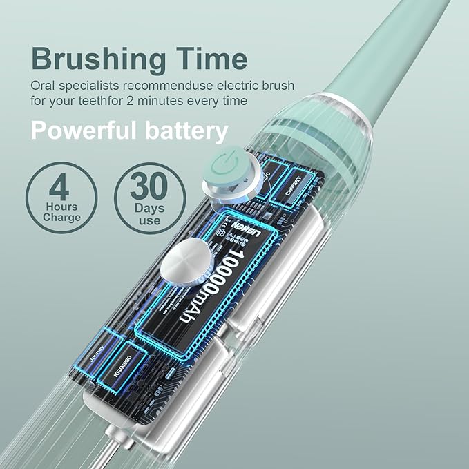 Rechargeable Sonic Toothbrush with Drying Holder, 8 Brush Heads, Smart Timer, Waterproof Design – Mint Green Edition
