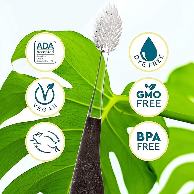 RADIUS Toothbrush Source Floss Brush BPA Free & ADA Accepted Improve Gum Health & Reduce Gum Issues - Medium - Money - Pack of 1