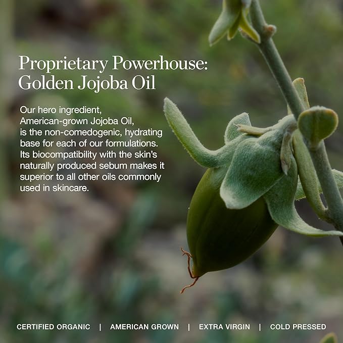 Ogee Complexion Perfecting Under Eye Concealer - Certified Organic Full Coverage Concealer - Buildable Coverage - MYRTLE 6.75W - Tan (Warm Undertones)