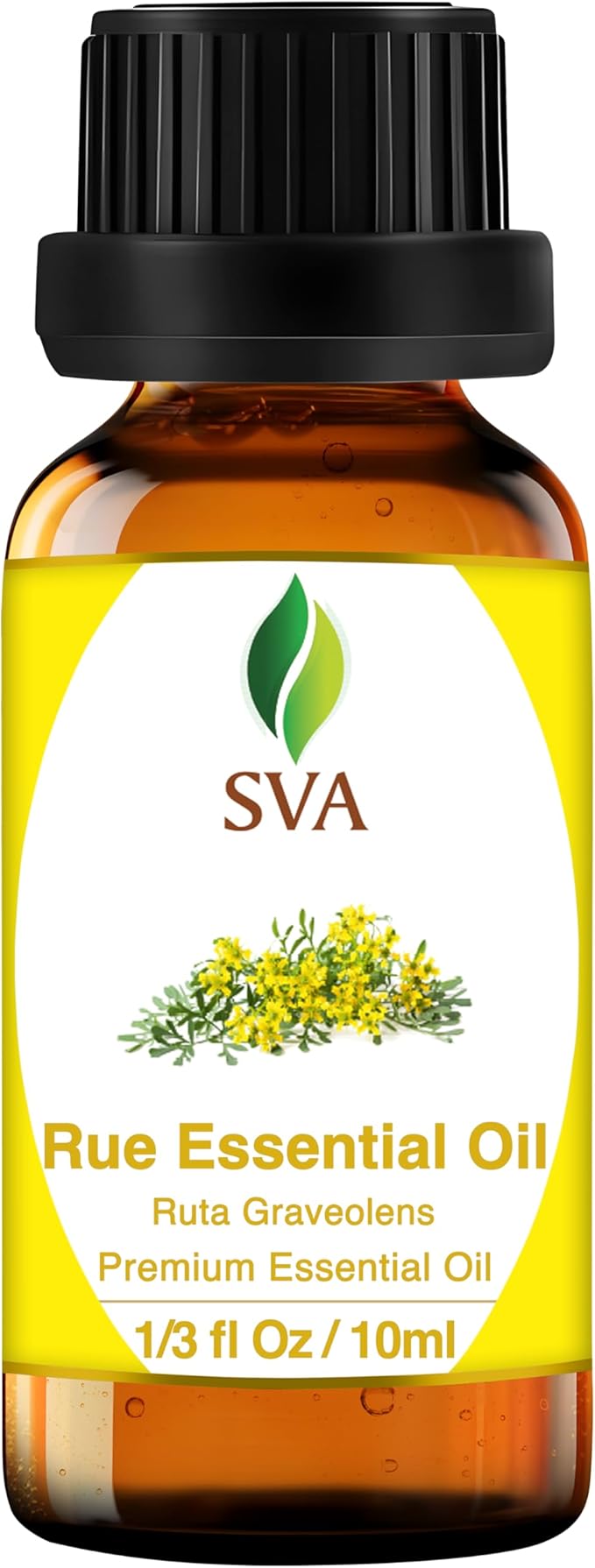 SVA Rue Essential Oil – 1/3 Fl Oz – 100% Natural Rue Oil - for Diffuser, Hair Care, Face, Skin Care, Aromatherapy, Scalp and Body Massage, Soap and Candle Making
