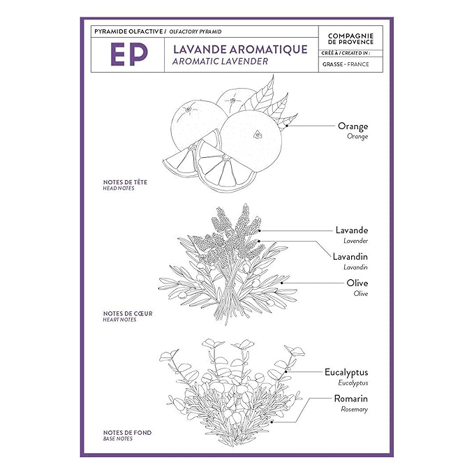 Compagnie de Provence Savon de Marseille Extra Pure Liquid Soap - Aromatic Lavender - 16.7 Fl Oz Glass Pump Bottle and 33.8 fl oz Plastic Bottle Refill