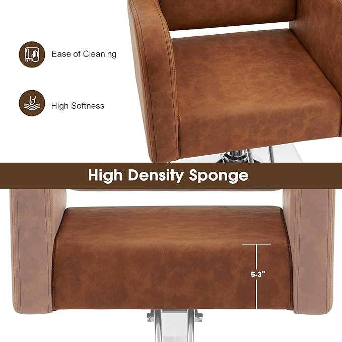 BarberPub Classic Salon Chair for Hair Stylist,Hydraulic Barber Styling Chair,Beauty Salon Spa Equipment 3802 (Brown)