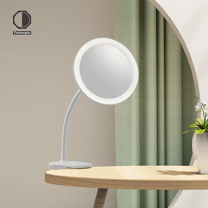 10X Magnifying Clip on Makeup Mirror Gooseneck, 6.5" Vanity Mirror with Light, 2000mAh USB Recharge 360° Rotating,Clip On Gooseneck Magnifying Vanity Mirror with Light,Travel Makeup Mirror (White 10X)