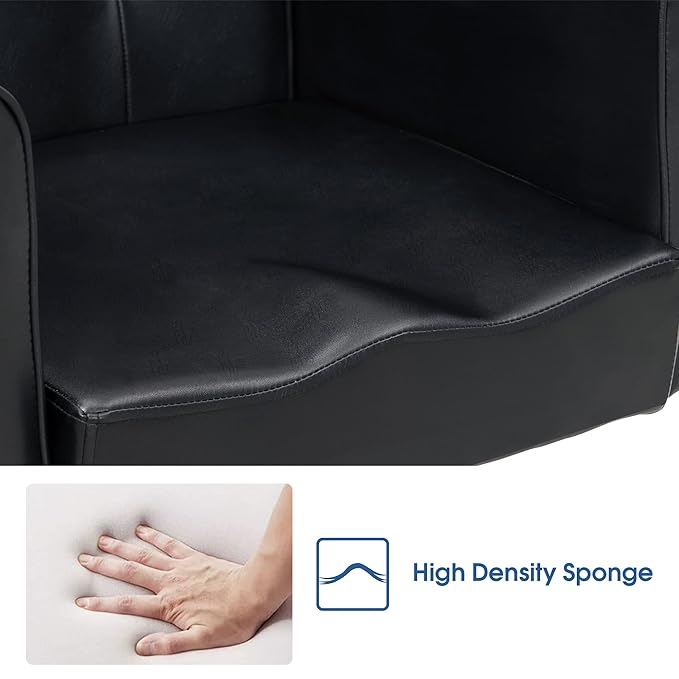 BarberPub Classic Hydraulic Recliner Barber Chair Antique Hair Spa Salon Styling Beauty Equipment 3123 (Black)