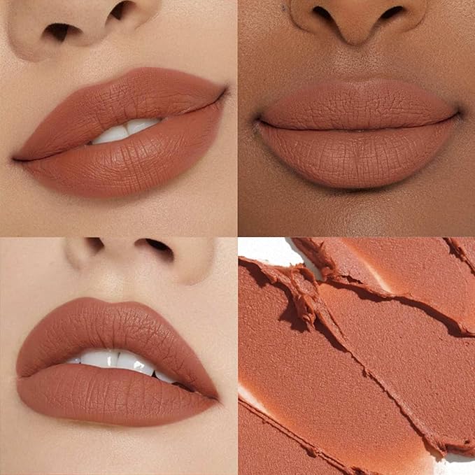 Matte Lipstick for Women, Long Lasting Moisturizing Lip Stain, Waterproof Lip Color Makeup (Brown)
