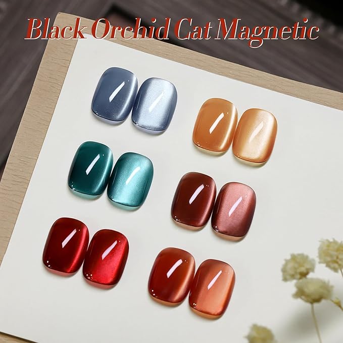 BORN PRETTY Magnetic Gel Nail Polish Water Light Cat Magnetic Eye Gel Black Orchid Jelly Glass Crystal Magnetic Gel Polish Glitter Shimmer Auroras Magnetic Gel Nail Art Manicure Kit 6PCS